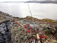 Первое знакомство с Баренцевым: палатки, дикарями и полный восторг