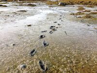 Первое знакомство с Баренцевым: палатки, дикарями и полный восторг