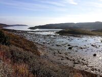 Первое знакомство с Баренцевым: палатки, дикарями и полный восторг