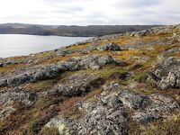 Первое знакомство с Баренцевым: палатки, дикарями и полный восторг