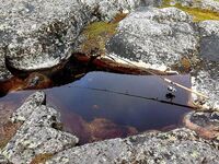Первое знакомство с Баренцевым: палатки, дикарями и полный восторг
