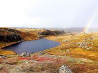 Первое знакомство с Баренцевым: палатки, дикарями и полный восторг
