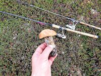 Первое знакомство с Баренцевым: палатки, дикарями и полный восторг