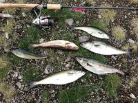 Первое знакомство с Баренцевым: палатки, дикарями и полный восторг