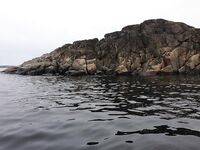 Первое знакомство с Баренцевым: палатки, дикарями и полный восторг