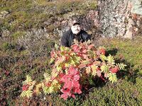 Первое знакомство с Баренцевым: палатки, дикарями и полный восторг