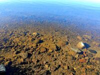 Первое знакомство с Баренцевым: палатки, дикарями и полный восторг