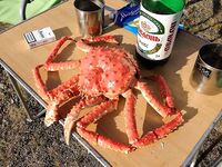 Первое знакомство с Баренцевым: палатки, дикарями и полный восторг