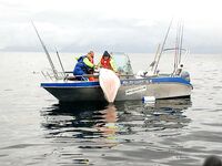 Трофейная ловля для отдыха: отсечь мелочь и ловить свой рекорд