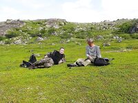 Конец лета: как одеваться на море и на суше — контраст по фото