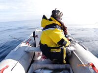 Весна на Кольском: ещё один кадр для понимания погоды