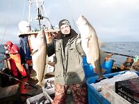 Териберка в апреле: перемёты до 4 м, «Весёлый ветер» и треска до 12 кг