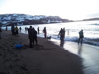 Черпают рыбу — работы много, толку мало: не превращайте море в проходной двор