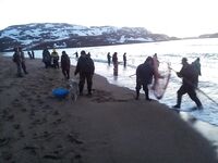 Черпают рыбу — работы много, толку мало: не превращайте море в проходной двор