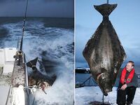 Новая оснастка — почему стоит пробовать и не слушать консерваторов