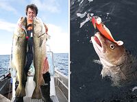 Новая оснастка — почему стоит пробовать и не слушать консерваторов