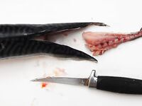 Новая оснастка — почему стоит пробовать и не слушать консерваторов