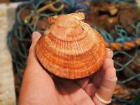 3200 км до мечты: первая морская рыбалка на Кольском, шторм и треска до 9 кг