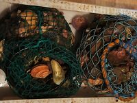 Еще немного фото с выезда: уловы, шторм и разделка — всё по порядку