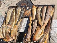 Комфортный июль: много тихих дней, но жара, мошка и мелкая рыба — тоже факт