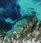 Гольфстрим стороной, скрей к Лофотенам: треску ищем по корму и «зеленке»