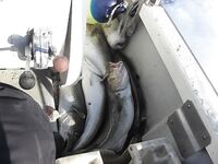 База «45 причал», мороз и штампы: у Кильдина 250–300 кг за день на четверых