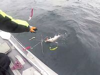 «Кольская Карусель»: модернизированный «Алабамский зонтик» и испытания в КЗ