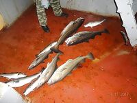 Закругляйся и снимай сам: если занудно, то камера в руки и вперёд