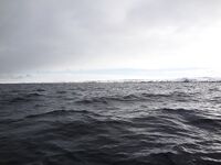 Восточный Кильдин: 90–120 м, клев жадный, рыбу ищем — взвесили «трещину» на 28–29