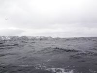 Немного фото по Териберке: уловы, точки, погодные окна — как было на месте