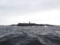 Немного фото по Териберке: уловы, точки, погодные окна — как было на месте