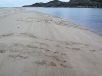 Ночная вылазка от Териберки: Подпахта, устье Вороньей и встреча с морскими зайцами