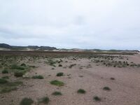 Ночная вылазка от Териберки: Подпахта, устье Вороньей и встреча с морскими зайцами