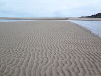 Ночная вылазка от Териберки: Подпахта, устье Вороньей и встреча с морскими зайцами