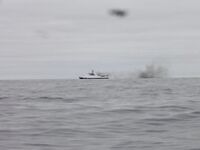 Ночная вылазка от Териберки: Подпахта, устье Вороньей и встреча с морскими зайцами