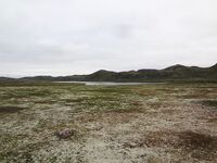 Ночная вылазка от Териберки: Подпахта, устье Вороньей и встреча с морскими зайцами