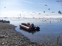 В Мурманске две недели делать нечего, пока на воду пускают только местных