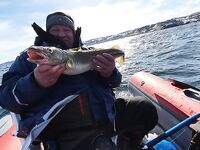 Запоздалый отчёт 18–20.04: морская рыбалка у трёх пляжей правее Губы Опасова