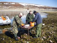 ООПТ Териберки не остановит — весной тут тысячи рыбаков и до 700 плавсредств в день