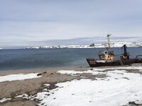 Филейку делай шире — влезет больше, ночи светлые помогают