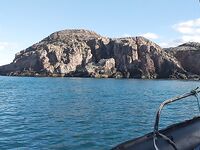 Первый раз в Териберке на ВМФ: север красив, ловили 80+, сайда и пикша активнее трески