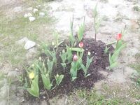 Укромный уголок Териберки: иногда нужны тишина, чай и короткая пауза от шторма