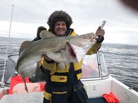 «Метровая треска 28 кг?» — для сравнения: 19 кг это 120 см, без гирь в пасти