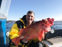 Слева «шестикилограммовый» окунь из сети, справа честный 5400 — весам верим, мифам нет