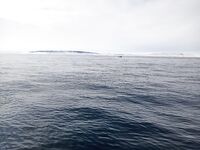 Дорогу открывали до 06.05, дали ход на пару дней и снова закрыли — пришлось уехать