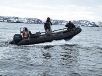 Штиль в Териберке: уловы неплохие, видел трофейную треску «на 50 кг»