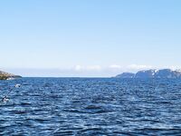 Штиль в Териберке: уловы неплохие, видел трофейную треску «на 50 кг»