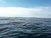 Опасова, Воронька, Лудки нравятся, а в «Терибоньку» с 2020 не езжу; Кильдин раздал