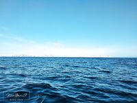 Опасова, Воронька, Лудки нравятся, а в «Терибоньку» с 2020 не езжу; Кильдин раздал