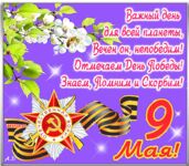 Луохи и ямы под Териберкой: подскажи места, мойва должна подойти